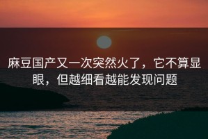 麻豆国产又一次突然火了，它不算显眼，但越细看越能发现问题