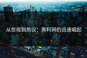 从忽视到热议：黑料网的迅速崛起