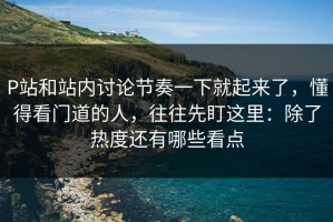 P站和站内讨论节奏一下就起来了，懂得看门道的人，往往先盯这里：除了热度还有哪些看点