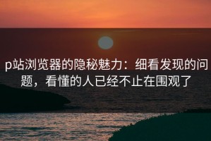 p站浏览器的隐秘魅力：细看发现的问题，看懂的人已经不止在围观了