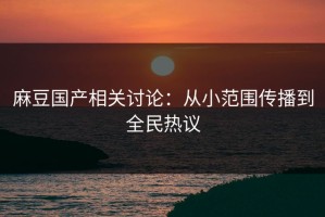麻豆国产相关讨论：从小范围传播到全民热议