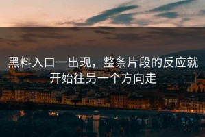黑料入口一出现，整条片段的反应就开始往另一个方向走