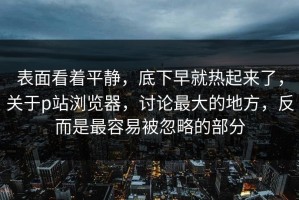表面看着平静，底下早就热起来了，关于p站浏览器，讨论最大的地方，反而是最容易被忽略的部分