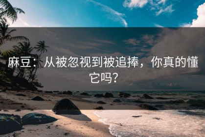 麻豆：从被忽视到被追捧，你真的懂它吗？