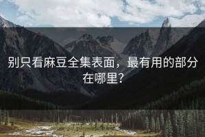 别只看麻豆全集表面，最有用的部分在哪里？