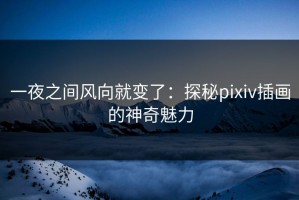 一夜之间风向就变了：探秘pixiv插画的神奇魅力