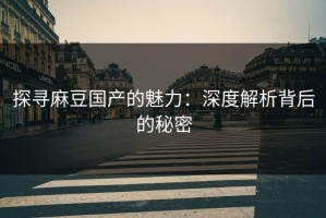 探寻麻豆国产的魅力：深度解析背后的秘密