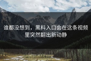 谁都没想到，黑料入口会在这条视频里突然翻出新动静