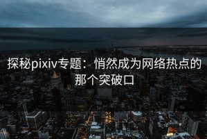 探秘pixiv专题：悄然成为网络热点的那个突破口