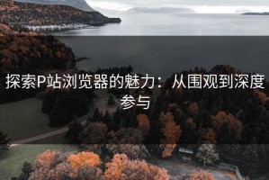 探索P站浏览器的魅力：从围观到深度参与