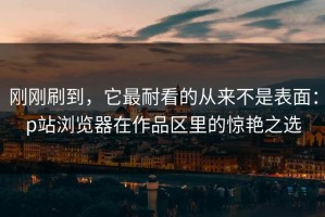 刚刚刷到，它最耐看的从来不是表面：p站浏览器在作品区里的惊艳之选