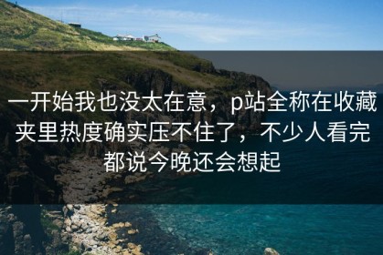 一开始我也没太在意，p站全称在收藏夹里热度确实压不住了，不少人看完都说今晚还会想起