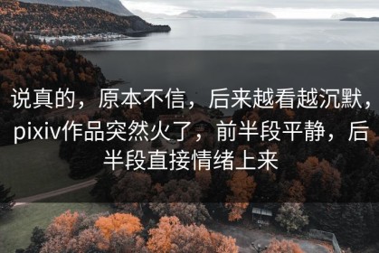 说真的，原本不信，后来越看越沉默，pixiv作品突然火了，前半段平静，后半段直接情绪上来
