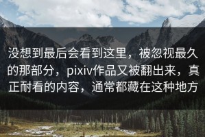 没想到最后会看到这里，被忽视最久的那部分，pixiv作品又被翻出来，真正耐看的内容，通常都藏在这种地方
