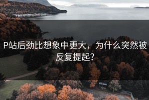 P站后劲比想象中更大，为什么突然被反复提起？