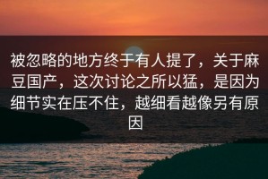 被忽略的地方终于有人提了，关于麻豆国产，这次讨论之所以猛，是因为细节实在压不住，越细看越像另有原因