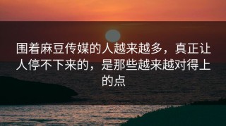 围着麻豆传媒的人越来越多，真正让人停不下来的，是那些越来越对得上的点
