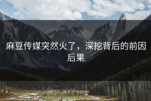 麻豆传媒突然火了，深挖背后的前因后果