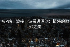 被P站一波接一波带进深渊：情感的微妙之美