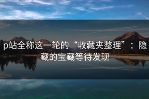 p站全称这一轮的“收藏夹整理”：隐藏的宝藏等待发现