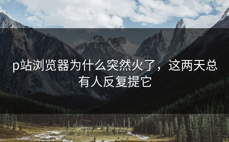 p站浏览器为什么突然火了，这两天总有人反复提它
