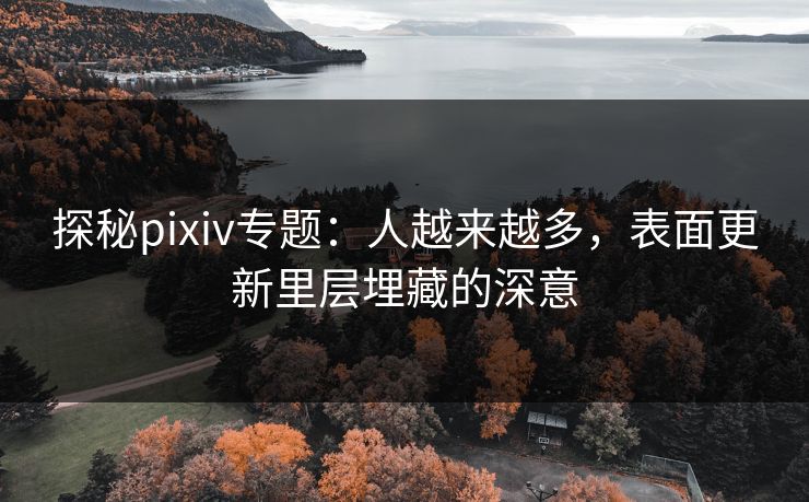 探秘pixiv专题：人越来越多，表面更新里层埋藏的深意