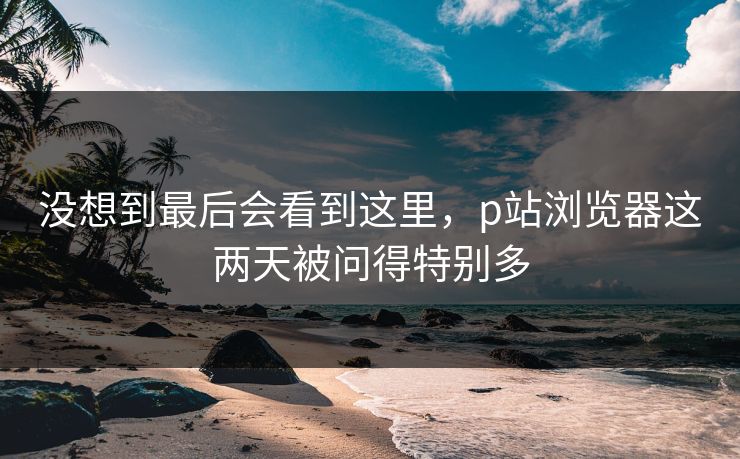 没想到最后会看到这里，p站浏览器这两天被问得特别多