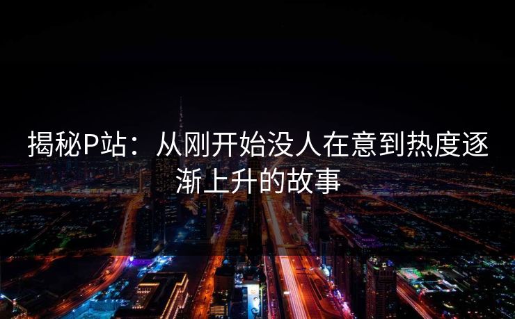 揭秘P站：从刚开始没人在意到热度逐渐上升的故事