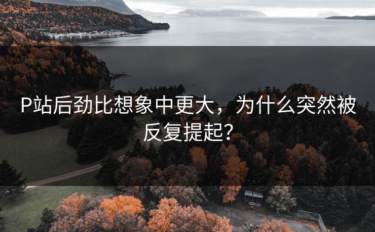 P站后劲比想象中更大，为什么突然被反复提起？