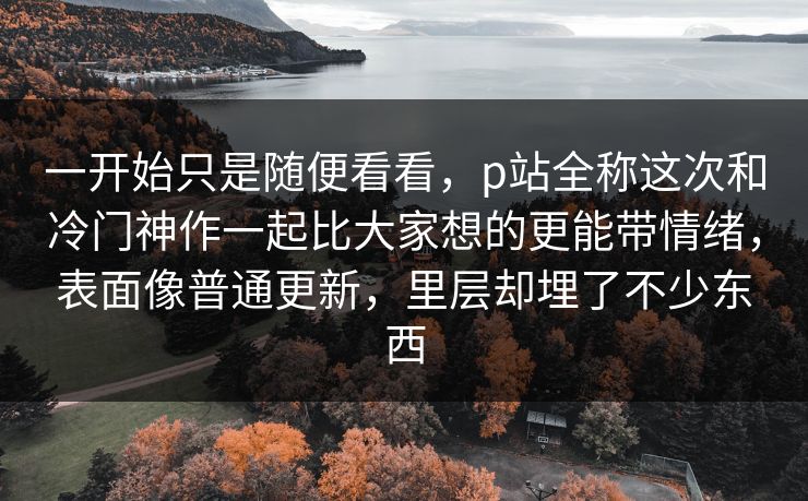 一开始只是随便看看，p站全称这次和冷门神作一起比大家想的更能带情绪，表面像普通更新，里层却埋了不少东西