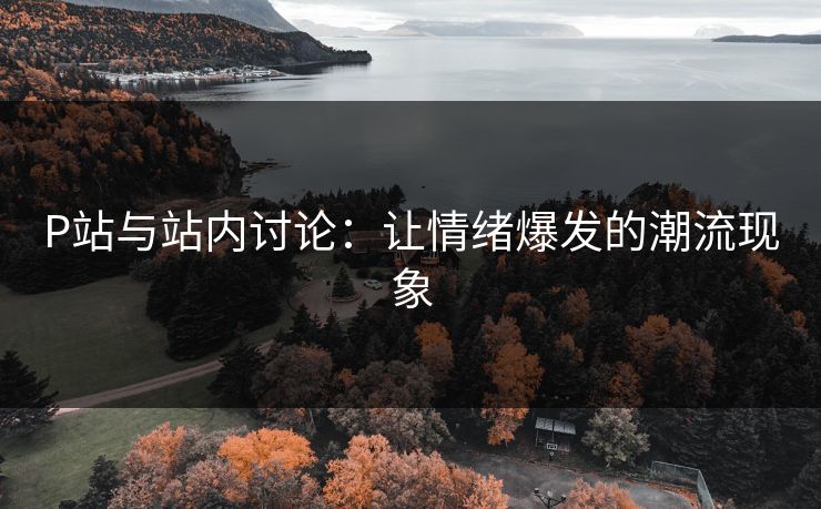 P站与站内讨论：让情绪爆发的潮流现象