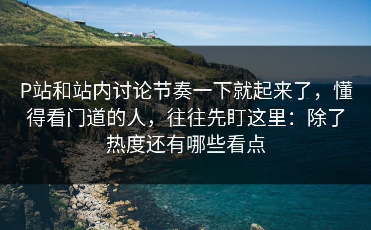 P站和站内讨论节奏一下就起来了，懂得看门道的人，往往先盯这里：除了热度还有哪些看点