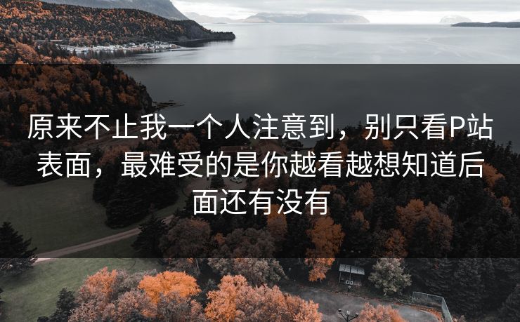 原来不止我一个人注意到，别只看P站表面，最难受的是你越看越想知道后面还有没有