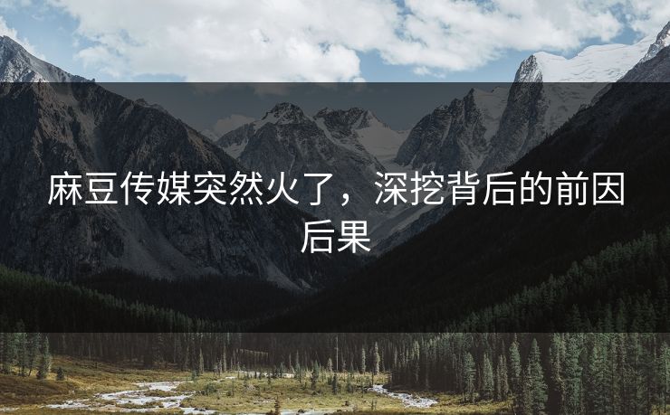 麻豆传媒突然火了，深挖背后的前因后果