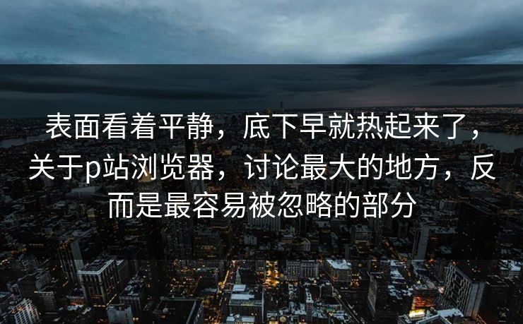 表面看着平静，底下早就热起来了，关于p站浏览器，讨论最大的地方，反而是最容易被忽略的部分