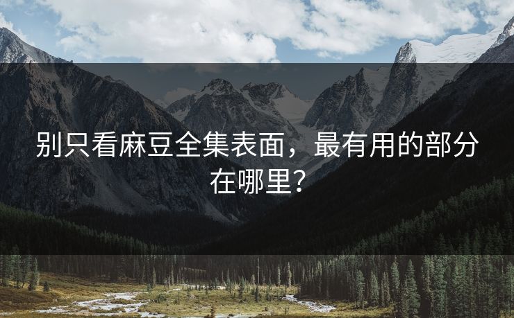 别只看麻豆全集表面，最有用的部分在哪里？