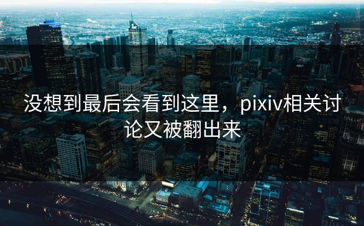 没想到最后会看到这里，pixiv相关讨论又被翻出来