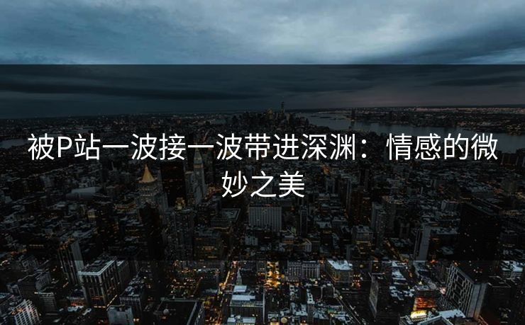 被P站一波接一波带进深渊：情感的微妙之美