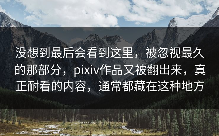 没想到最后会看到这里，被忽视最久的那部分，pixiv作品又被翻出来，真正耐看的内容，通常都藏在这种地方