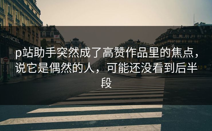 p站助手突然成了高赞作品里的焦点，说它是偶然的人，可能还没看到后半段