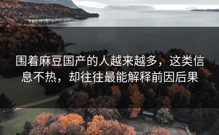 围着麻豆国产的人越来越多，这类信息不热，却往往最能解释前因后果