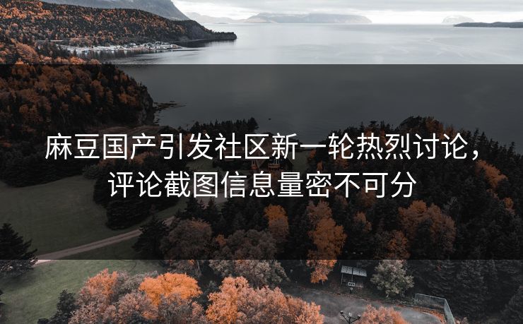 麻豆国产引发社区新一轮热烈讨论，评论截图信息量密不可分